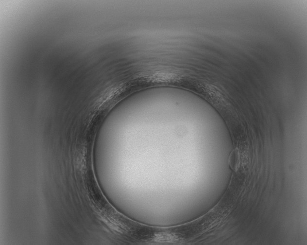 X0000059840591200510281826