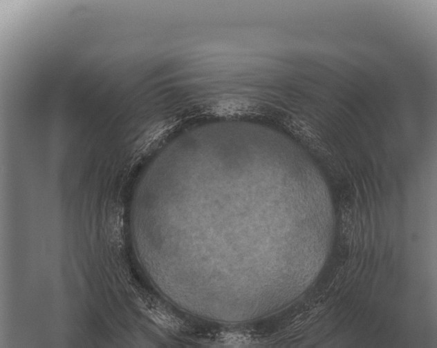 X0000059840592200510281826