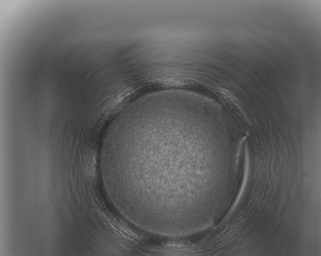 X0000059840596200510281826