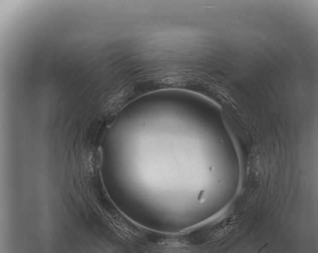 X0000059840597200510281826