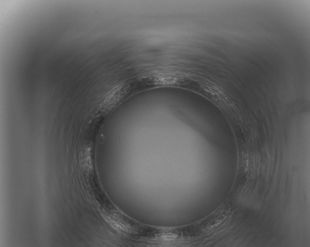 X0000059840598200510281826