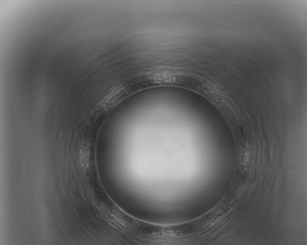 X0000059840600200510281826