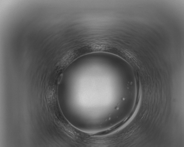 X0000059840601200510281826