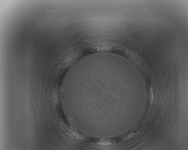 X0000059840604200510281826