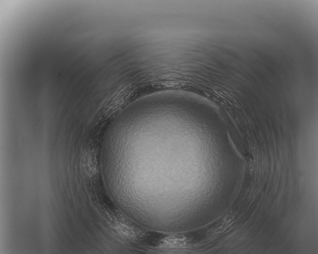 X0000059840606200510281826