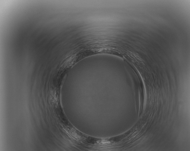 X0000059840607200510281826