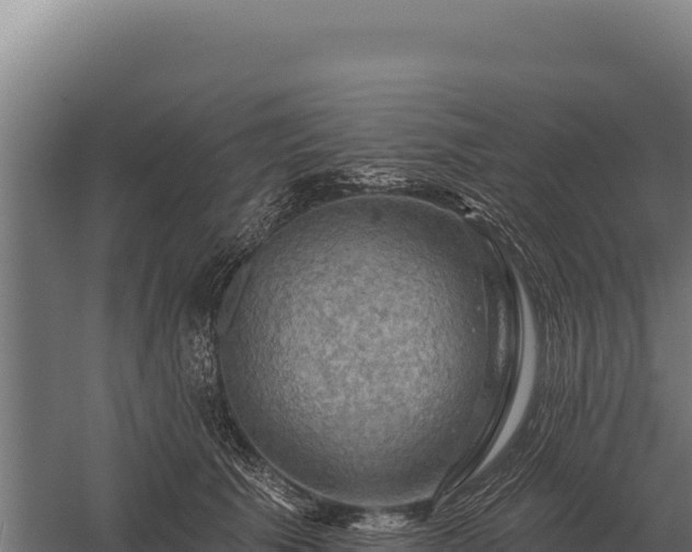 X0000059840609200510281826