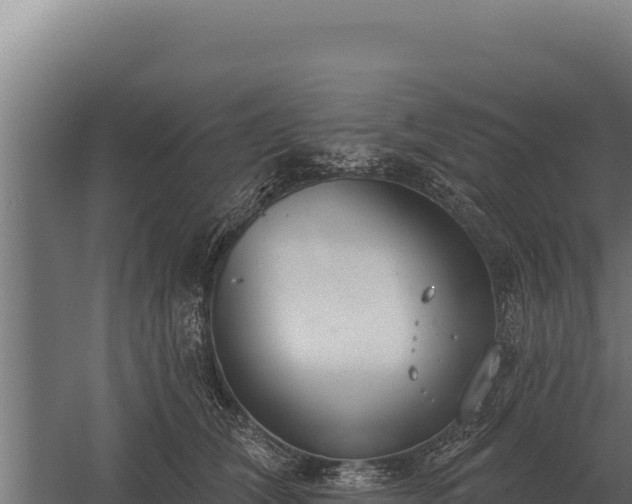 X0000059840612200510281826