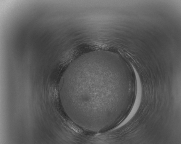 X0000059840613200510281826