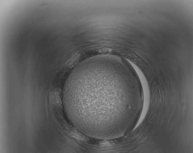 X0000059840616200510281826