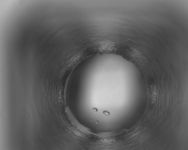 X0000059840619200510281826