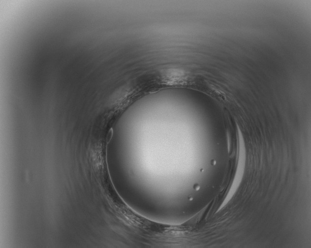 X0000059840620200510281826