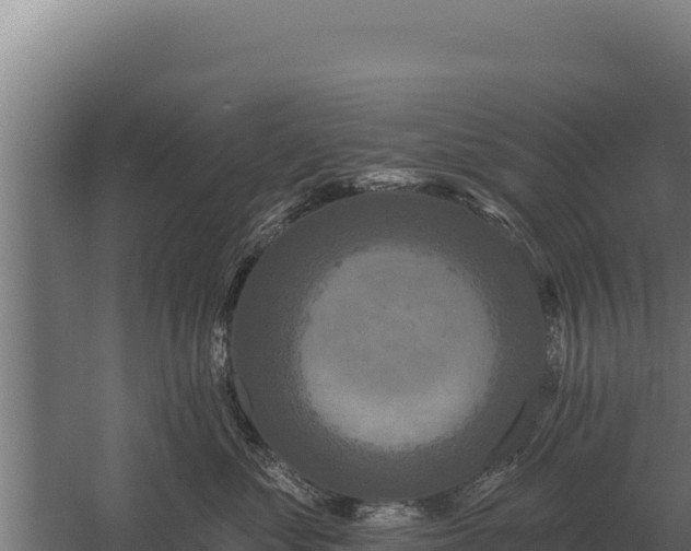 X0000059840621200510281826