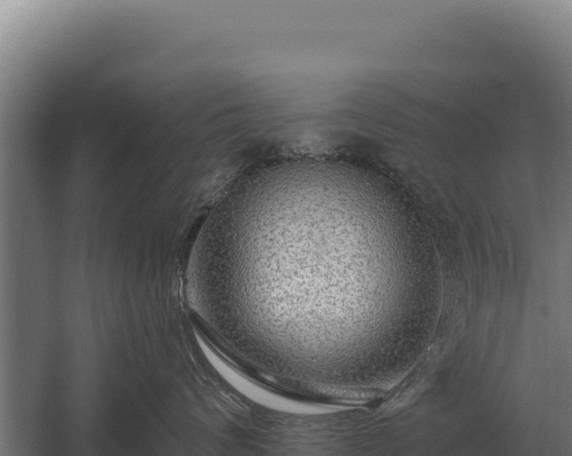 X0000059840624200510281826