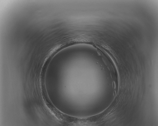 X0000059840626200510281825