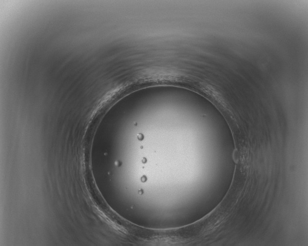 X0000059840629200510281825