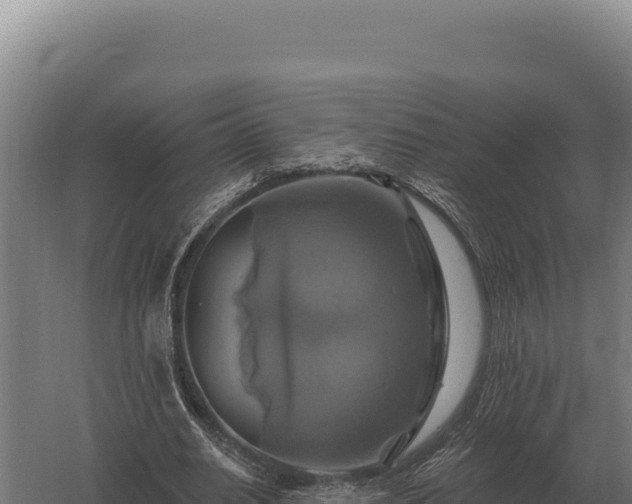 X0000059840630200510281825