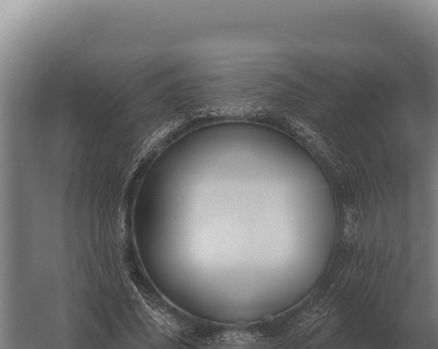 X0000059840636200510281825