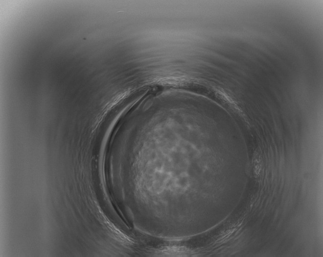 X0000059840637200510281825