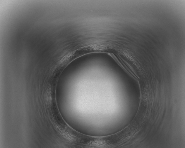 X0000059840639200510281825