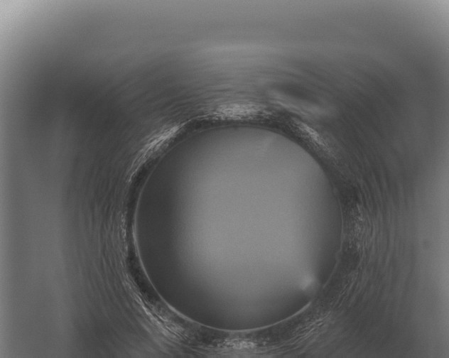 X0000059840640200510281825