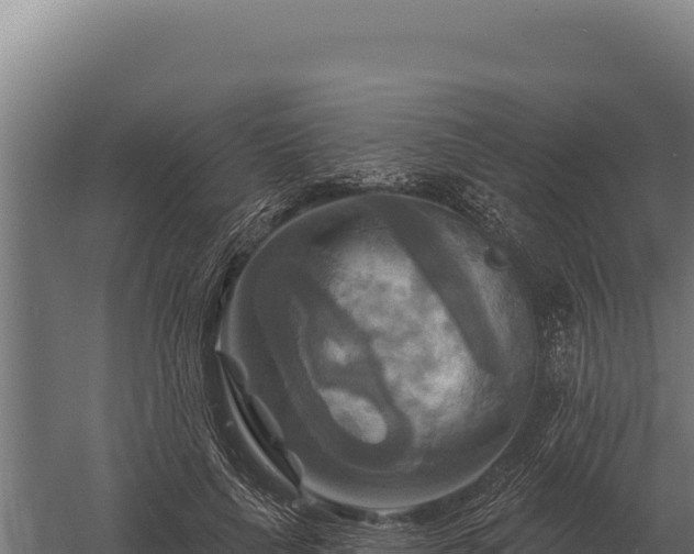 X0000059840643200510281825