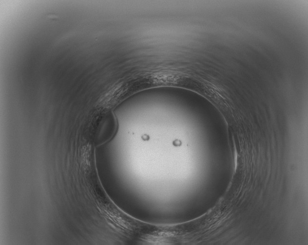 X0000059840649200510281825