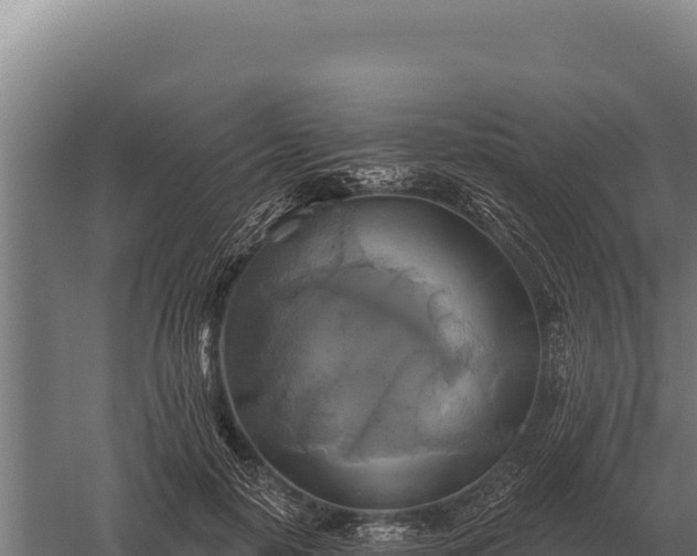 X0000059840650200510281825