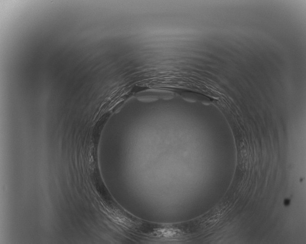 X0000059840654200510281825