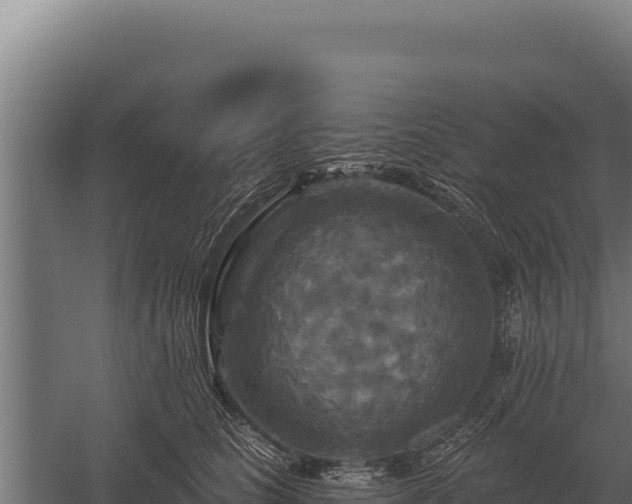 X0000059840661200510281826