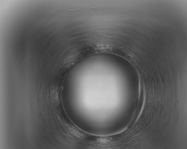 X0000059840662200510281826