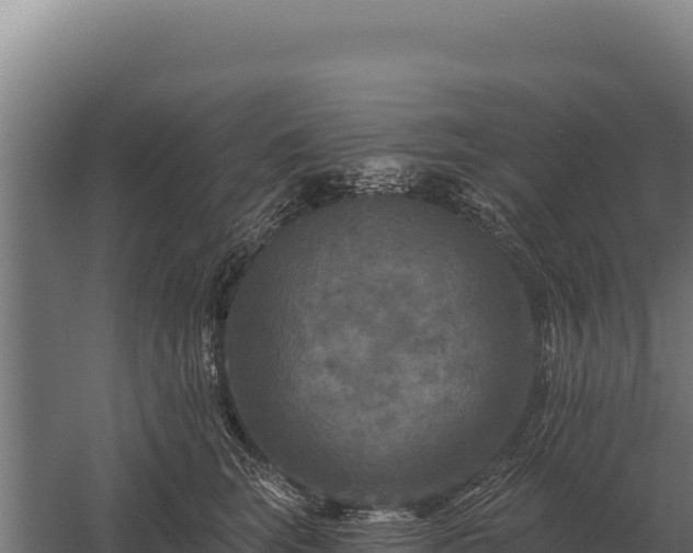 X0000059840663200510281826