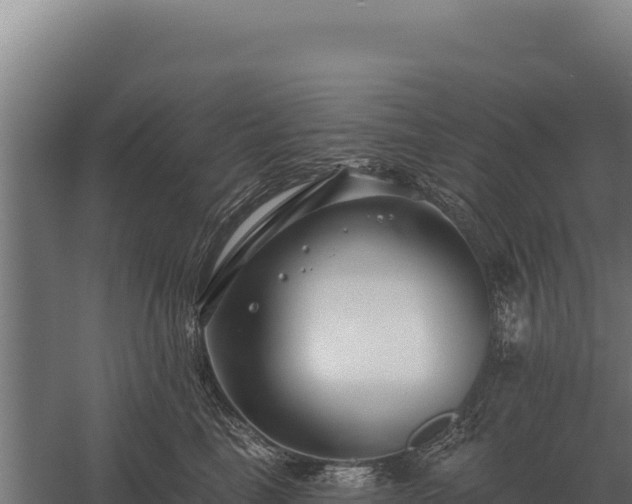 X0000059840665200510281826