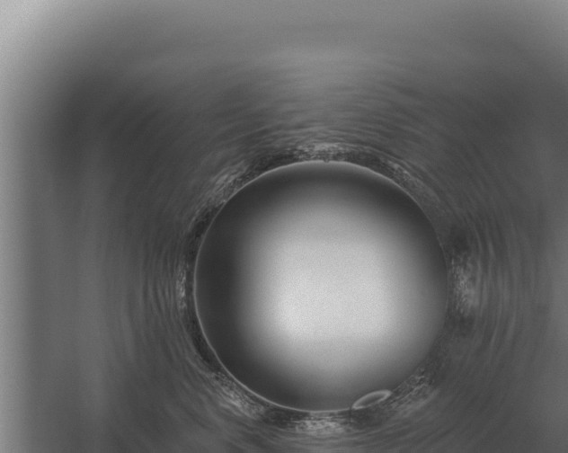 X0000059840668200510281826