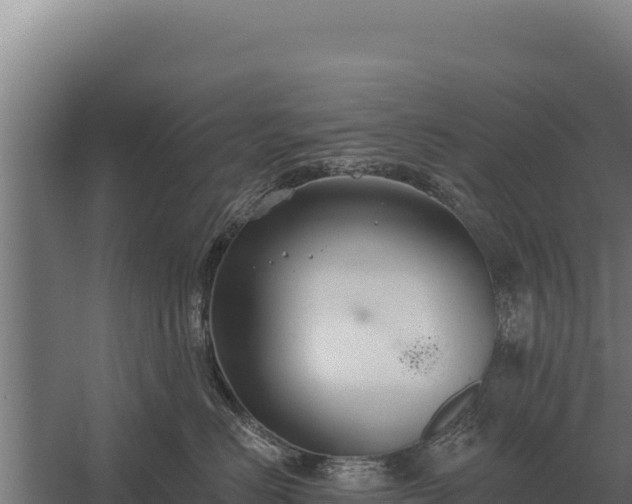 X0000059840670200510281826