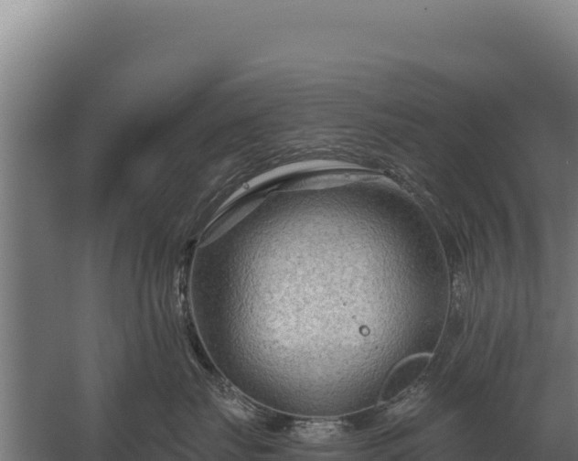 X0000059840671200510281826