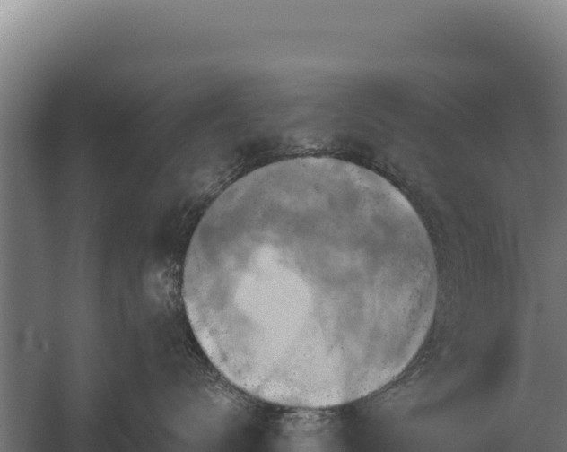 X0000059840672200510281826