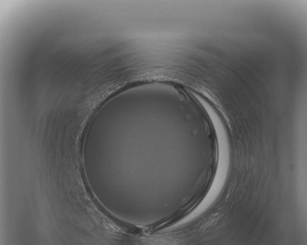 X0000059840673200510281825