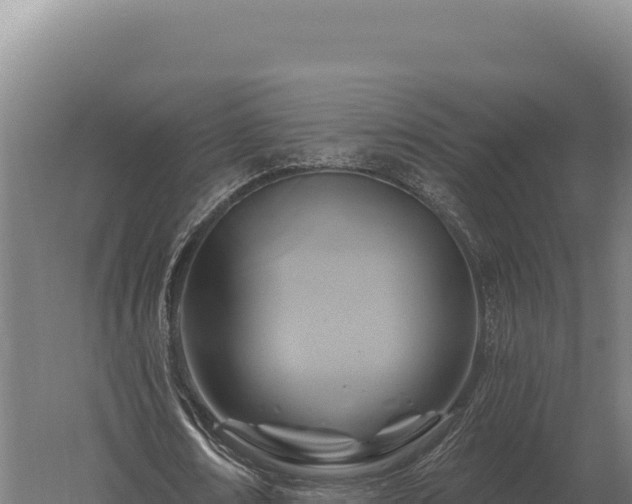 X0000059840674200510281825