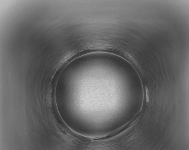 X0000059840675200510281825