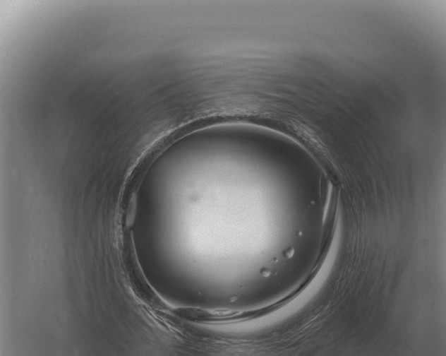 X0000059840676200510281825