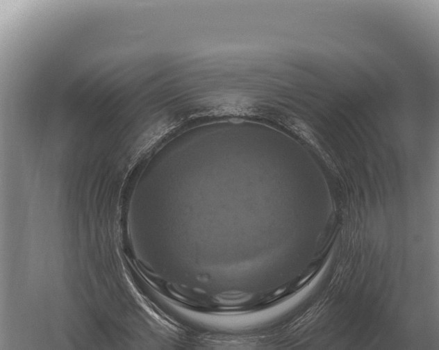 X0000059840677200510281825