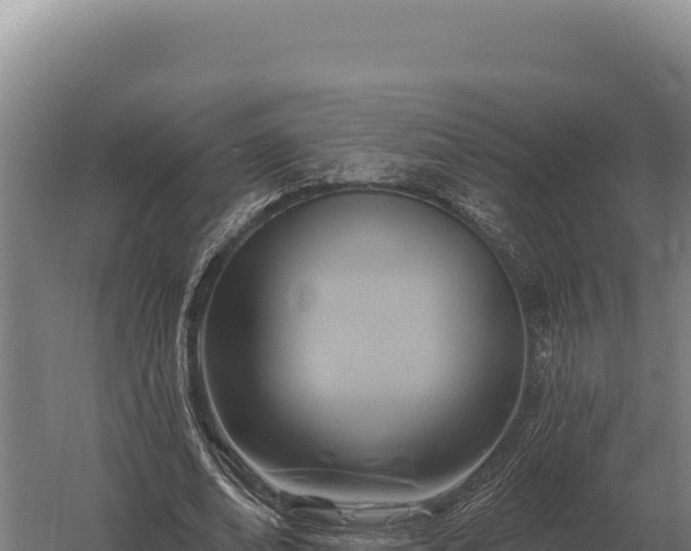 X0000059840678200510281825