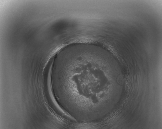 X0000059840679200510281825