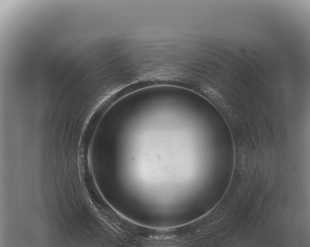 X0000059840680200510281825