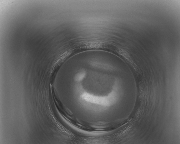 X0000059840681200510281825