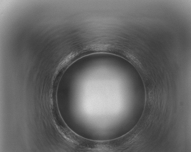 X0000059840682200510281825