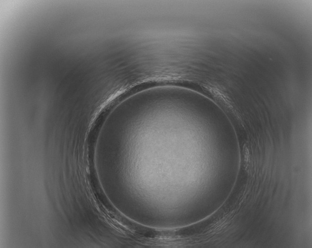 X0000059840684200510281825