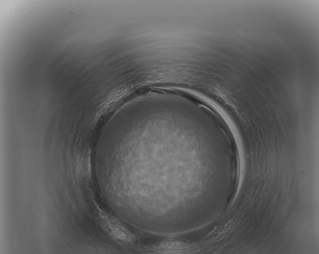 X0000059840685200510281825