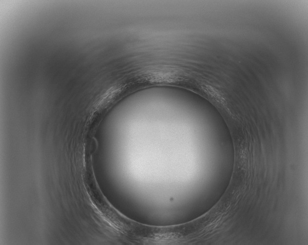 X0000059840686200510281825